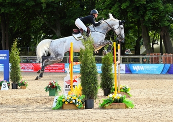 Rachel Proudley takes top spot in the British Horse Feeds Speedi-Beet Grade C HOYS Qualifier at The Royal Highland Show
